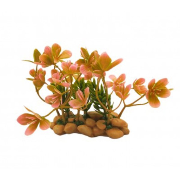 ΔΙΑΚΟΣΜΗΤΙΚΟ ΦΥΤΟ ΕΝΥΔΡΕΙΟΥ 10Χ9CM